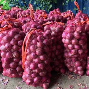 Oignons Rouges Frais et Oignons Jaunes Blancs : Prix par Tonne en Chine auprès d'un Exportateur <span class=keywords><strong>de</strong></span> Semences d'Oignons - Product Image 5