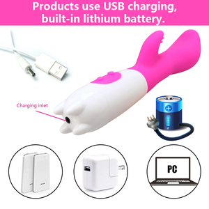 Vibrateur Lapin Stimulateur Clitoridien Féminin Jouet Sexuel en Silicone pour Femmes - Product Image 6