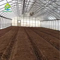 Greenhouse agrícola e túnel de fazenda de plástico filme cultivador esqueleto tomate greenhouse para venda