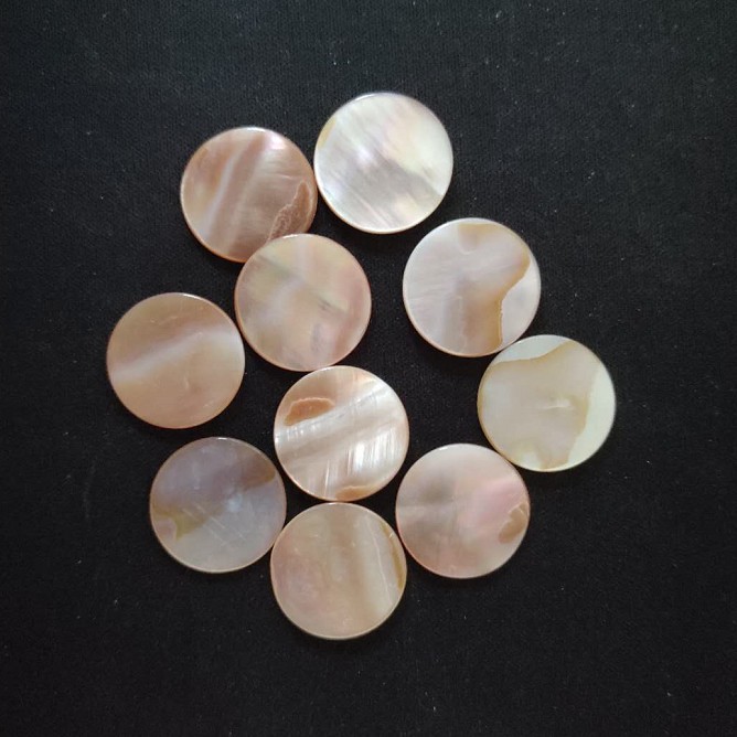 freshwater shell