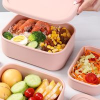 Étanche Réutilisable Sans BPA Voyage Pique-Nique Snack Sandwich Conteneur Silicone Bento Lunch Box