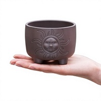 Pot de fleurs minimaliste de grand diamètre pour petites succulentes, en résine plastique imitation céramique argileuse, avec contrôle des racines