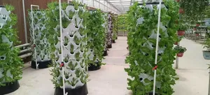 Système agricole vertical de <span class=keywords><strong>jardin</strong></span> de tour hydroponique rotatoire pour <span class=keywords><strong>des</strong></span> herbes de laitue de fraise - Product Image 6