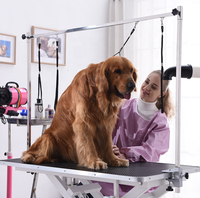Table de toilettage pour chien avec bras
