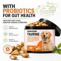 Complément alimentaire pour chiens à base de taurine et de L-Lysine, probiotiques, vitamines, comprimés à mâcher, soutien immunitaire et articulaire, absorption rapide, sûr, soins quotidiens