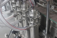Machine de remplissage et de bouchage automatique à 4 têtes pour bouteilles en verre et plastique d'huile de chanvre et de sirop