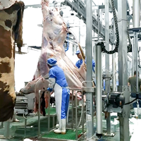 Ligne d'abattage de bétail industrielle, équipement d'abattoir automatique pour bovins, ligne de transformation de la viande de bœuf