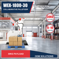 Robot palettiseur universel 30 kg avec ventouses pour cartons, caisses, marchandises emballées et logistique d'usine