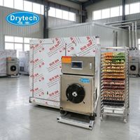 Commerciële industriële voedseldroger voor fruit, groenten en vlees, met roestvrijstalen bakken