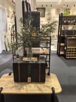 Table basse rectangulaire moderne en bois pour salon