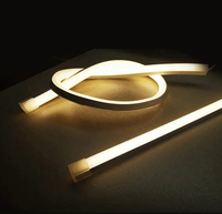 Benory DC 24V/48V ip67 LED bande de corde au néon Tuya Casambi KNX Dali loxone dimmable Flexible Smart Strip Light Led Neon Lights