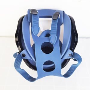 PPE sicurezza NBC Gas tossici Anti radioprotezione P3R respiratore maschera antigas chimica Full Face - Product Image 4