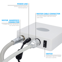 Micromoteur dentaire électrique sans balais avec pulvérisation d'eau interne et LED, 2000-40000 tr/min, 50W, DC 24V, couple max. 6,5 Ncm, pour usage en clinique dentaire