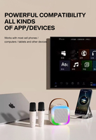 Mini microphone portable, audio intégré, machine de karaoké familiale, haut-parleur sans fil BT pour l'extérieur