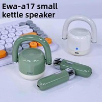 Mini haut-parleur portable EWA-A17 avec basses puissantes, en alliage d'aluminium, sortie 5W, pour camping en extérieur, maison, bureau, carte TF