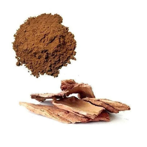 Terminalia Arjuna Bark Extract Spray Dried Dry Extract Powder Bulk Wholesale Manufacturer Supplier Exporter Premium Quality - Product Image 1