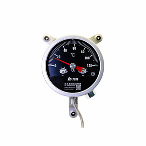 Fujian LEAD Ölgekühlter Transformator Temperaturregler & Messgerät WTZK-02 Serie - Product Image 4