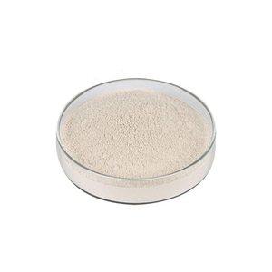 Bột protein gạo thủy phân cô lập tập trung màu trắng thực phẩm cấp độ tinh khiết 80% 90% protein gạo - Product Image 3