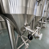 Cuve de Fermentation de Bière Personnalisée de Haute Qualité 100L/200L en Acier Inoxydable à Double Paroi avec Enveloppe de Refroidissement à Cavités, Moteur et Pompe