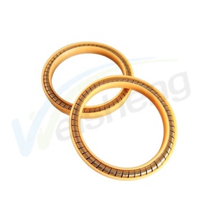 WS-SEALS lng वितरण मशीन प्लास्टिक ptfe ptfe + cf सामग्री सील विभिन्न सामग्री संरचना अनुकूलन अनुकूलन - Product Image 4