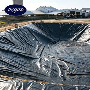 Estanque de Purificación de Aguas Residuales Artificial con Revestimiento de HDPE - Product Image 6