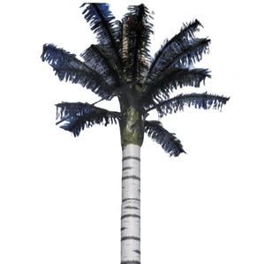 Tour de télécommunication en forme de palmier dissimulée - Product Image 1