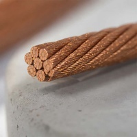 Fil de cuivre émaillé torsadé LITZ, fabricant de bobines haute fréquence personnalisées