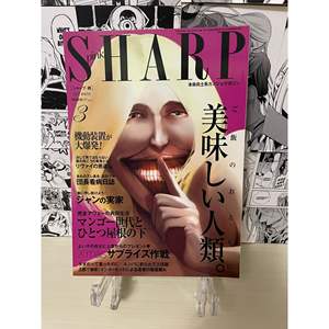 Póster de anime en japonés de la revista Sharp, invierno 2013, número 3 - Product Image 2