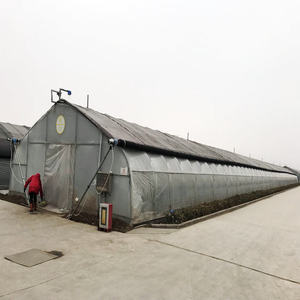 Agriculture Hydroponic <strong>Tunnel</strong> 30 X 100 Greenhouse - Product Image 1