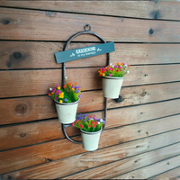Jardinière moderne rustique en fer galvanisé à trois niveaux, écologique, pour légumes et herbes, pour jardin domestique et utilisation murale