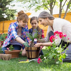 Mộc Mạc Trồng Hoa Chậu 4 Gói Bằng Gỗ Whiskey Thùng Trồng Bằng Gỗ Xô Thùng Trồng Vườn Container - Product Image 3