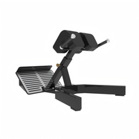 Banc d'hyperextension commercial, chaise romaine de musculation pour le dos, les fessiers et les ischio-jambiers