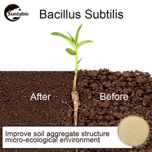 <strong>Probioticos</strong> Bacillus Subtilissoil Fertilizer Additive Plant Nutrition Probiotics Feed Grade Probiotic Powder - Product Image 3