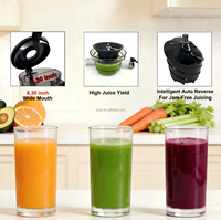 Slowjuicer Koude Pers Anti-Oxidatie Hoge Voedingswaarde Stil 350W Brede Invoeropening Smoothie 2.5L Zelfreinigend CE RoHS FDA UL Huishoudelijk