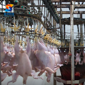 Línea de Sacrificio de Aves de Corral para 1000 Aves, Línea de Sacrificio de Pollos Pequeños - Product Image 2