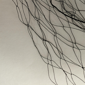 <span class=keywords><strong>Red</strong></span> <span class=keywords><strong>de</strong></span> multifilamento <span class=keywords><strong>de</strong></span> niebla <span class=keywords><strong>de</strong></span> alta calidad, trampa <span class=keywords><strong>de</strong></span> nailon, redes <span class=keywords><strong>de</strong></span> malla para <span class=keywords><strong>caza</strong></span>, <span class=keywords><strong>red</strong></span> para pájaros <span class=keywords><strong>con</strong></span> bolsillo - Product Image 1