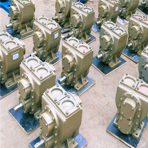 Pompa a Ingranaggi 80YHCB-60 ad Alto Flusso e Bassa Pressione per Benzina/Diesel, Personalizzabile OEM, per Industria dei Biocarburanti, Pompa Olio, Spruzzatore d'Acqua, Cisterna - Product Image 6