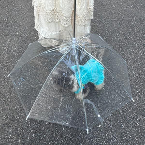 <span class=keywords><strong>Paraguas</strong></span> para Perros de Tamaño Pequeño, Control Manual, Todo en Uno, Sin Mango, 8 Varillas, Impermeable, Diseño Moderno, de Viaje, Plástico POE - Product Image 5