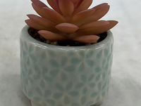 Plante succulente artificielle en plastique, plante en pot, décoration de bureau, plante verte bionique, petit bonsaï, Pâques, mariage, écologique