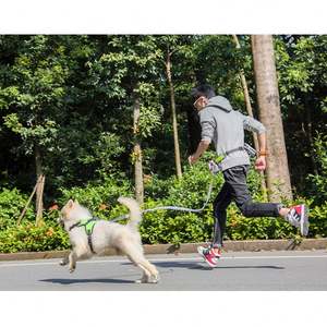 Muker Hands-Free Adjustable Breakaway Reflective Running <b>Bungee</b> Leash Durable Polyester Solid Nylon Rope Ribbons 1.27m-2.15m - Product Image 6