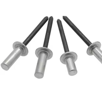Rivets aveugles à tête plate en acier inoxydable 304/316, plaqués zinc, étanches, antirouille, fixations industrielles certifiées ISO15977