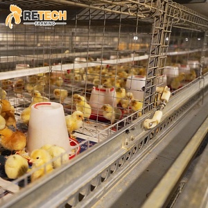 Poultry Farming Day Old Baby Chick Cages Systems Automatic