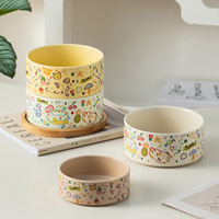 Bol en céramique mate pour chat et chien NicePets |   Assiette d'alimentation anti-renversement à motif graffiti mignon |   1260 ° Bol à eau multi-usage C Fired Food