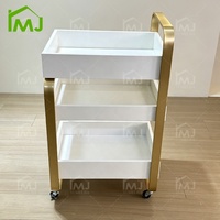 Chariot mobile pour salon de beauté, outils de coiffure, soins du visage et spa, chariot pour technicien