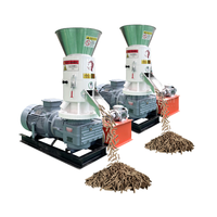 Palmvezel EFB Biomassa Pelletmachine Oliepalmenvruchten Bundel Afvalverwerking Houtpelletmolen voor Biomassa Brandstofproductie