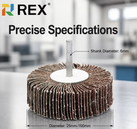 Roue à lamelles montée en alumine REX 25-80 mm avec tige de 6 mm, outil abrasif certifié TUV ISO pour le polissage des surfaces internes des métaux