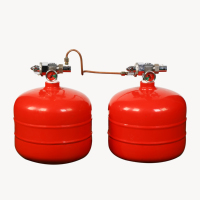 Systèmes d'extinction d'incendie à poudre ABC et agent nettoyant 5 kg 9 kg 10 kg 12 kg, fabricant d'extincteurs de plafond