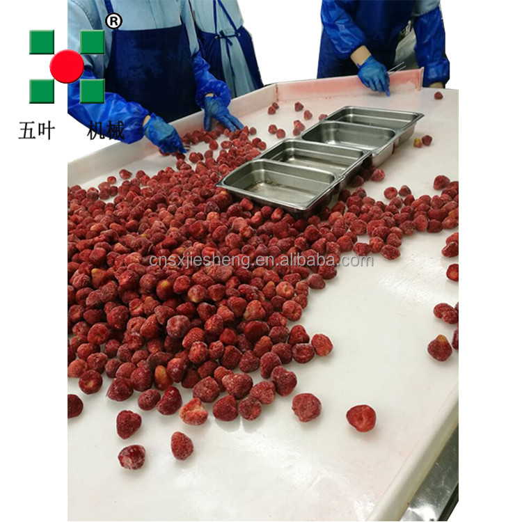 CE Certified 40 Industrial Fluidized IQF