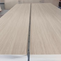 Contreplaqué HPL à grain de bois de 18mm 1220x2440mm contreplaqué laminé imperméable résistant au feu pour cuisine et laboratoire