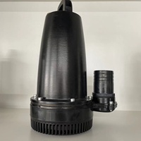 Petite brosse cc haute pression 12V 24V 48V, Mini pompe à eau solaire Submersible pour Agriculture